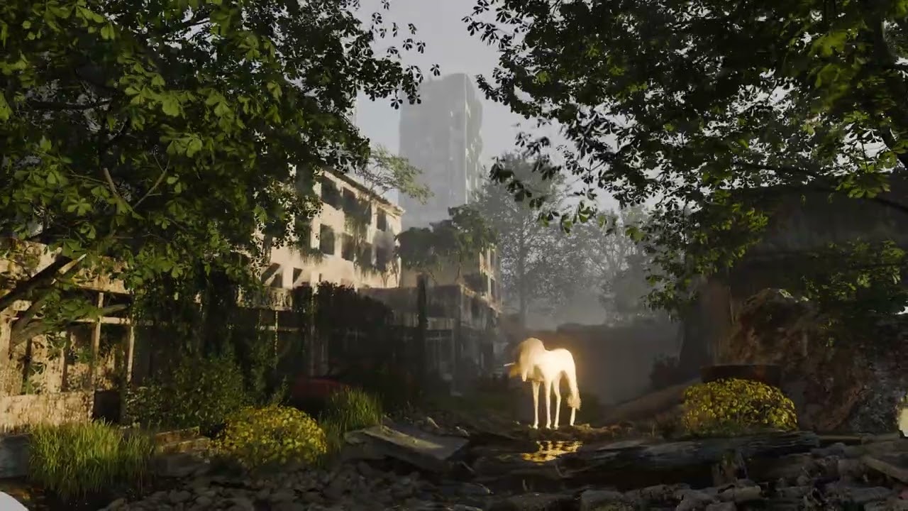 Unicorn Street