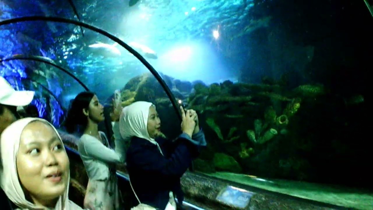 First time to Sea World Ancol