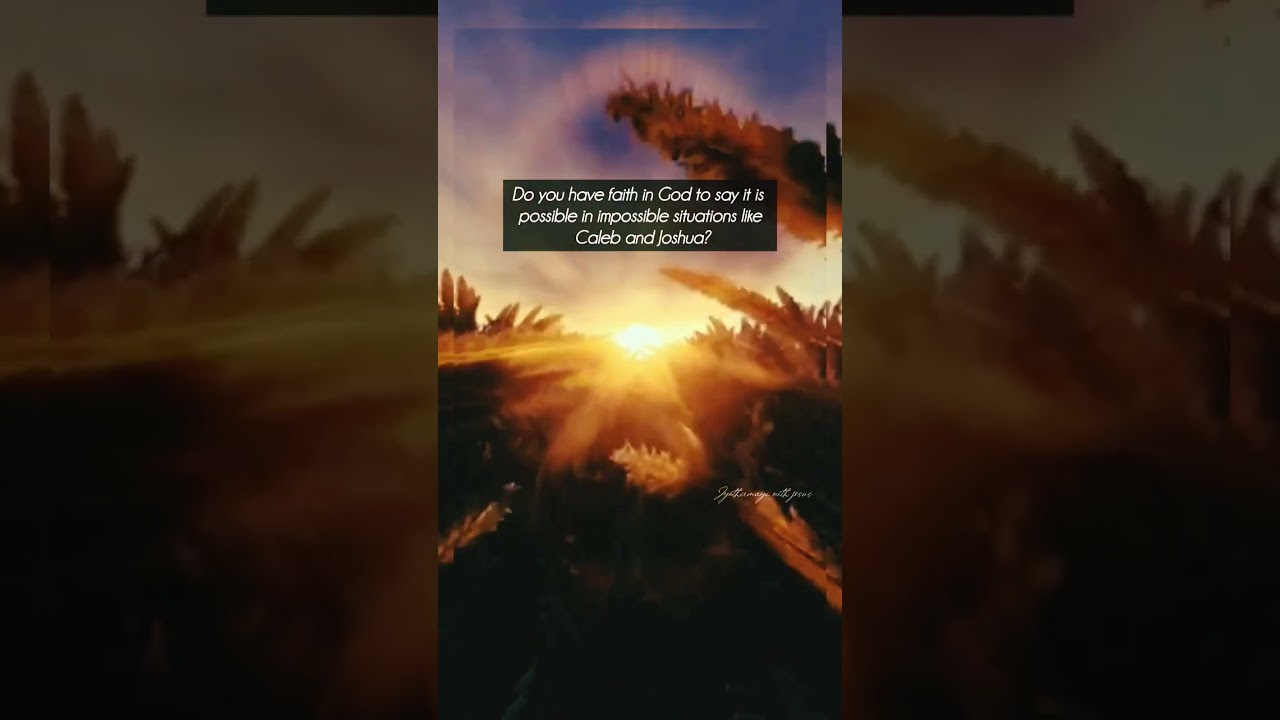 After Moses this Caleb and Joshua shared their great faith and trust in god with people of Israel🕊️🙏