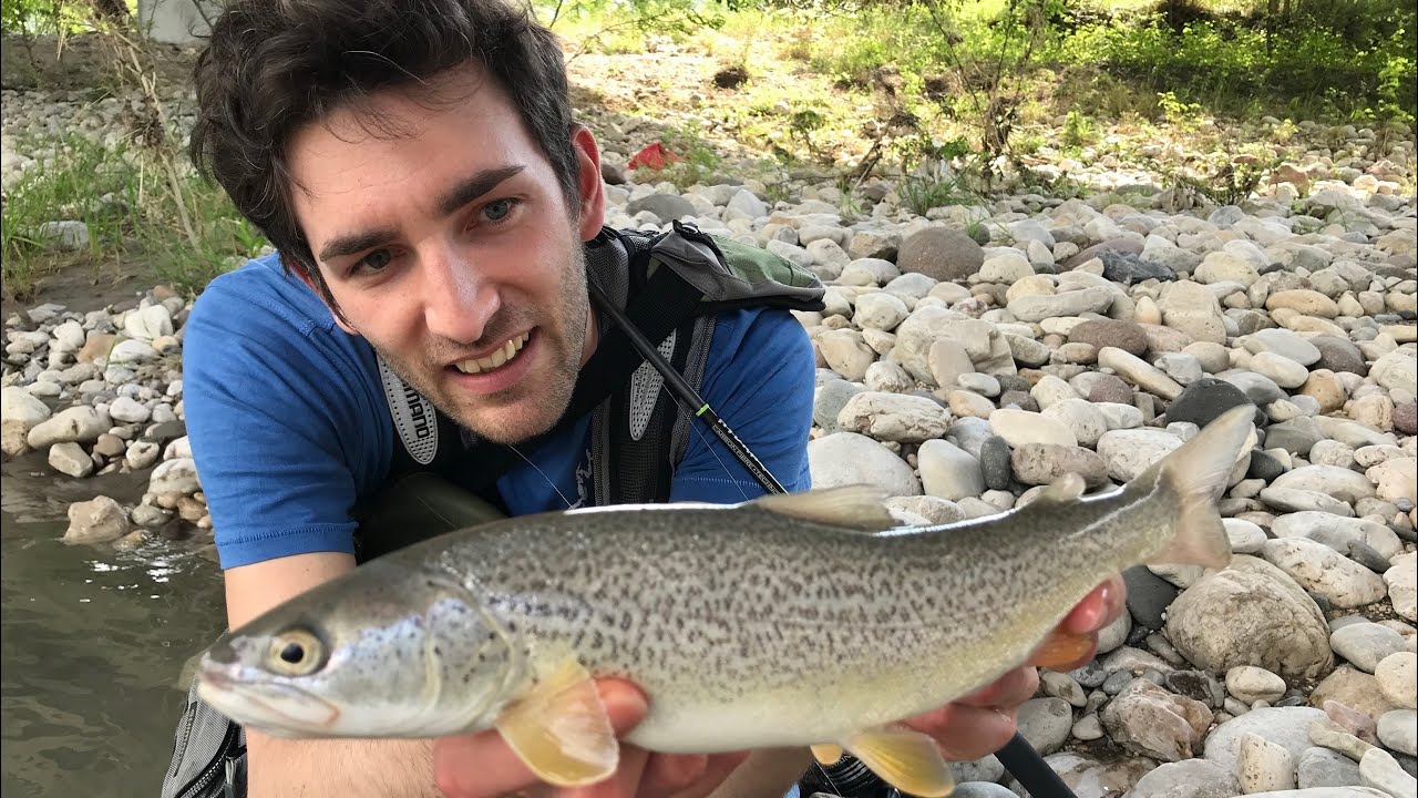 Spinning fiume adige marmorate 2020