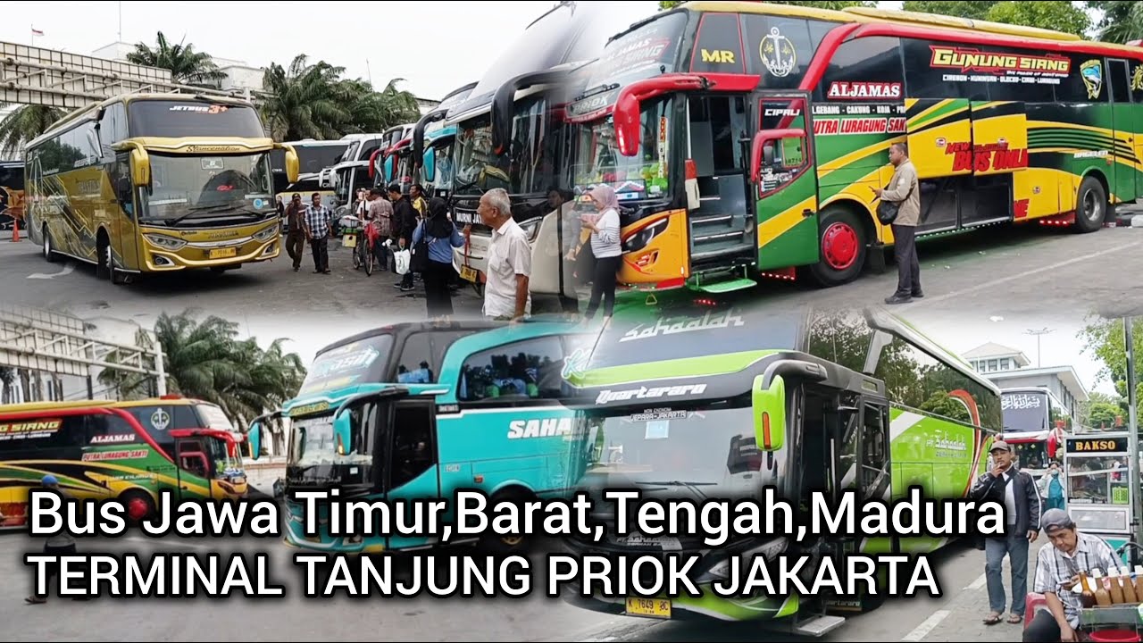 Terminal Tanjung Priok Jakarta Utara !! Bus Tujuan Jawa Timur, Jawa Tengah, Jawa Barat, Madura, dll