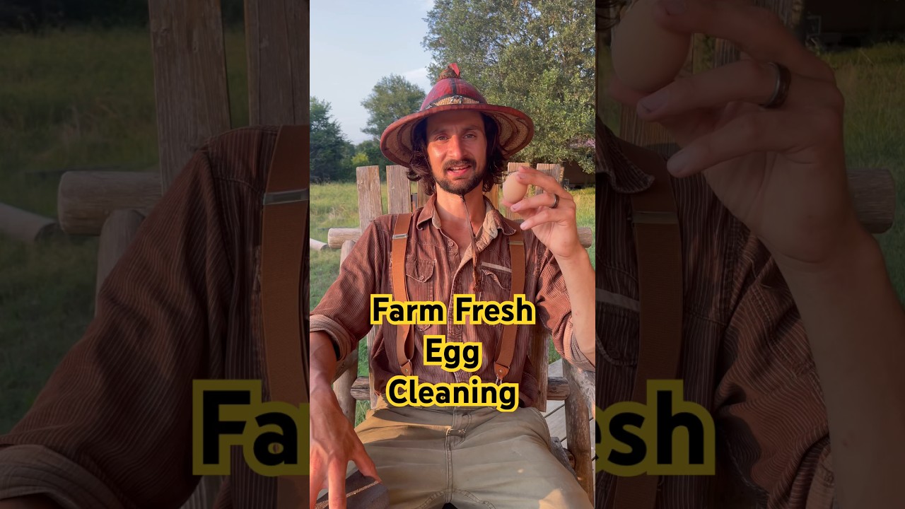 How to Clean Farm Fresh Eggs