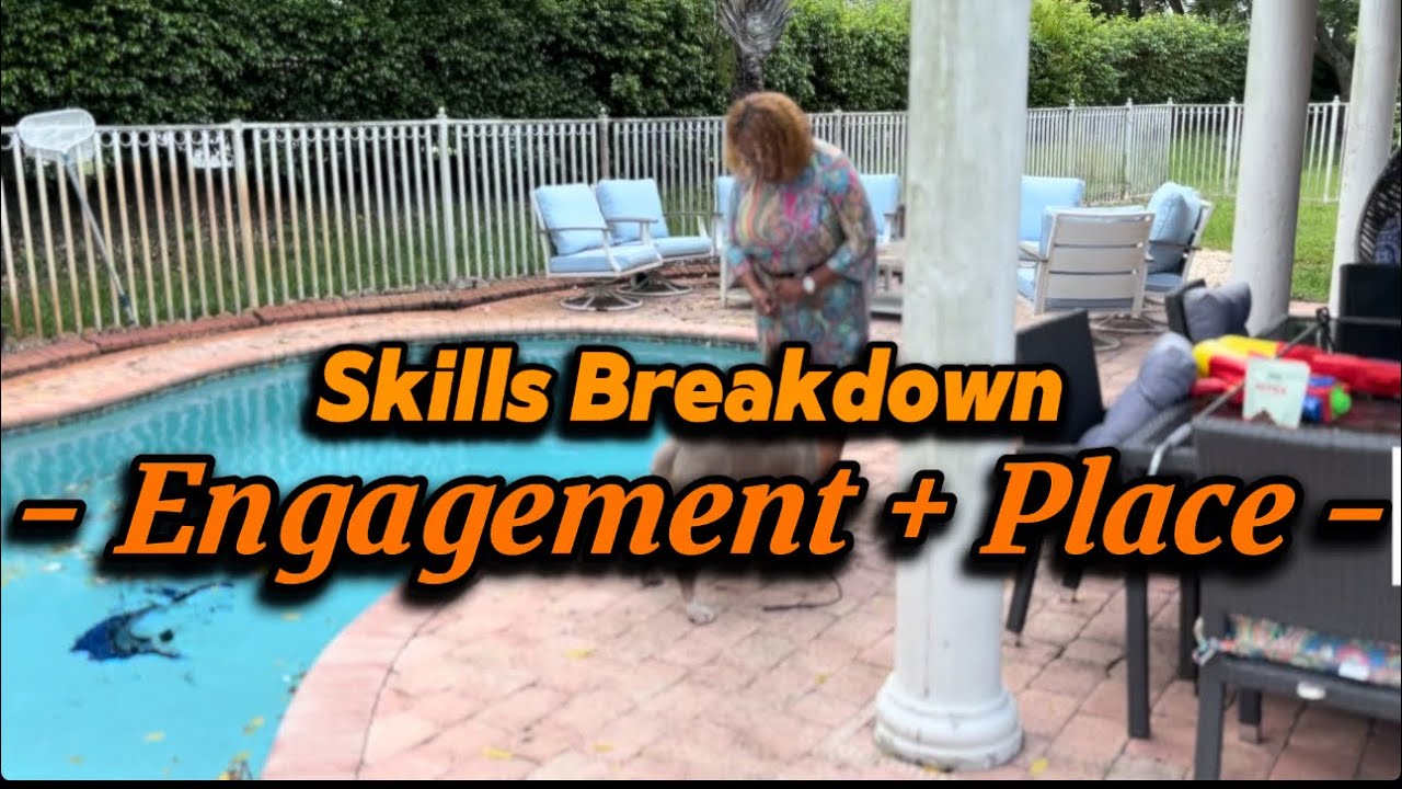 Simba engagement + place skills breakdown
