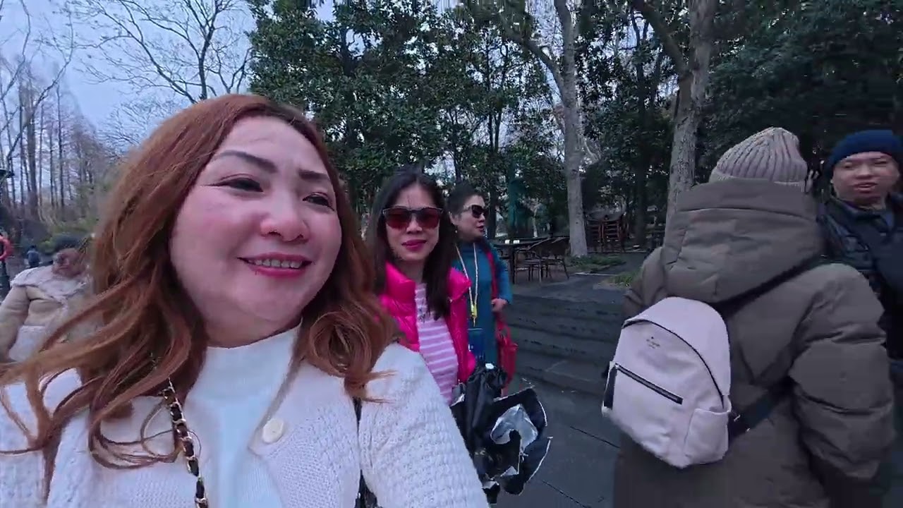 West like (xihu) hangzhou china, pagoda paisucen