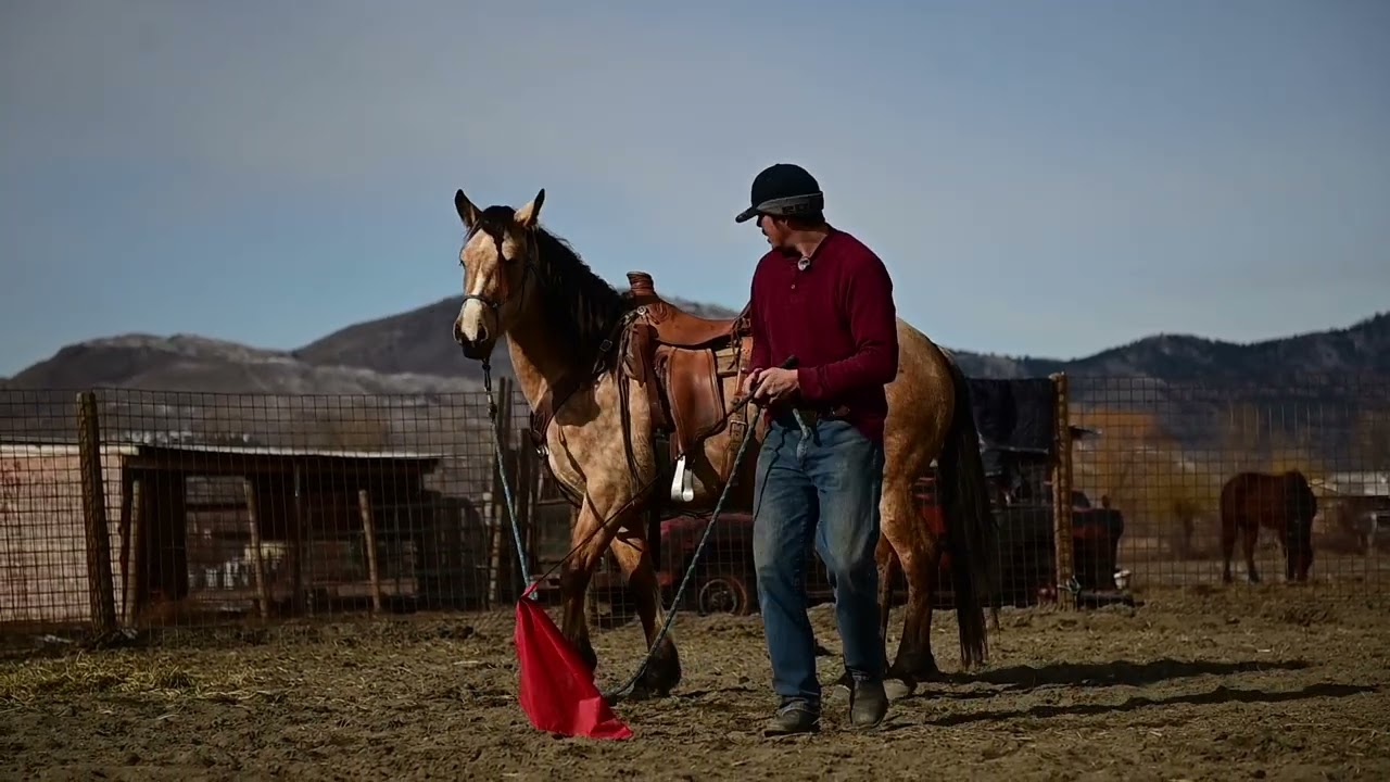 XBucking Mare Hannah: She Wasn’t Ready… So We Did This First