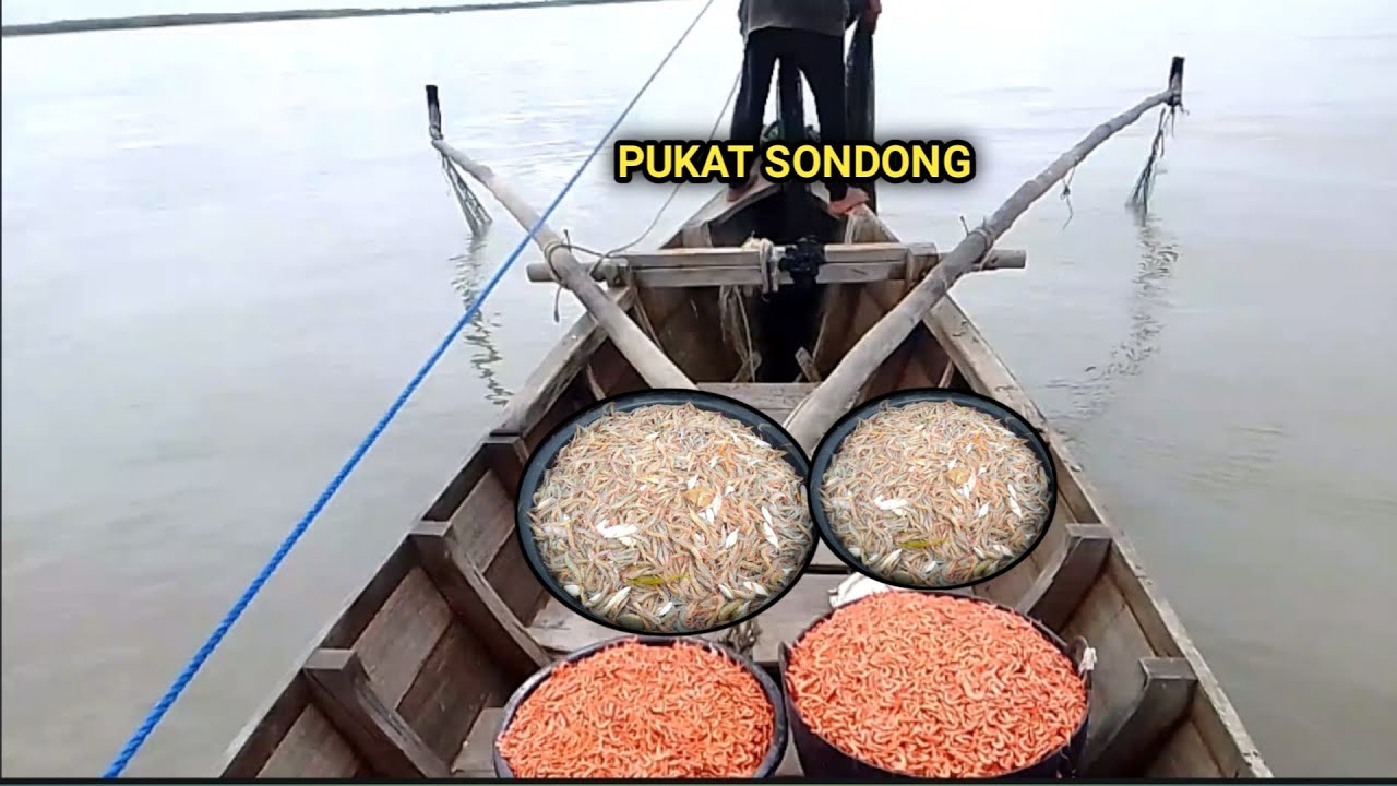 BERBURU UDANG DI LAUT MENGGUNAKAN JARING/PUKAT SONDONG | hasil nya melimpah ‼️ Menjaring udang