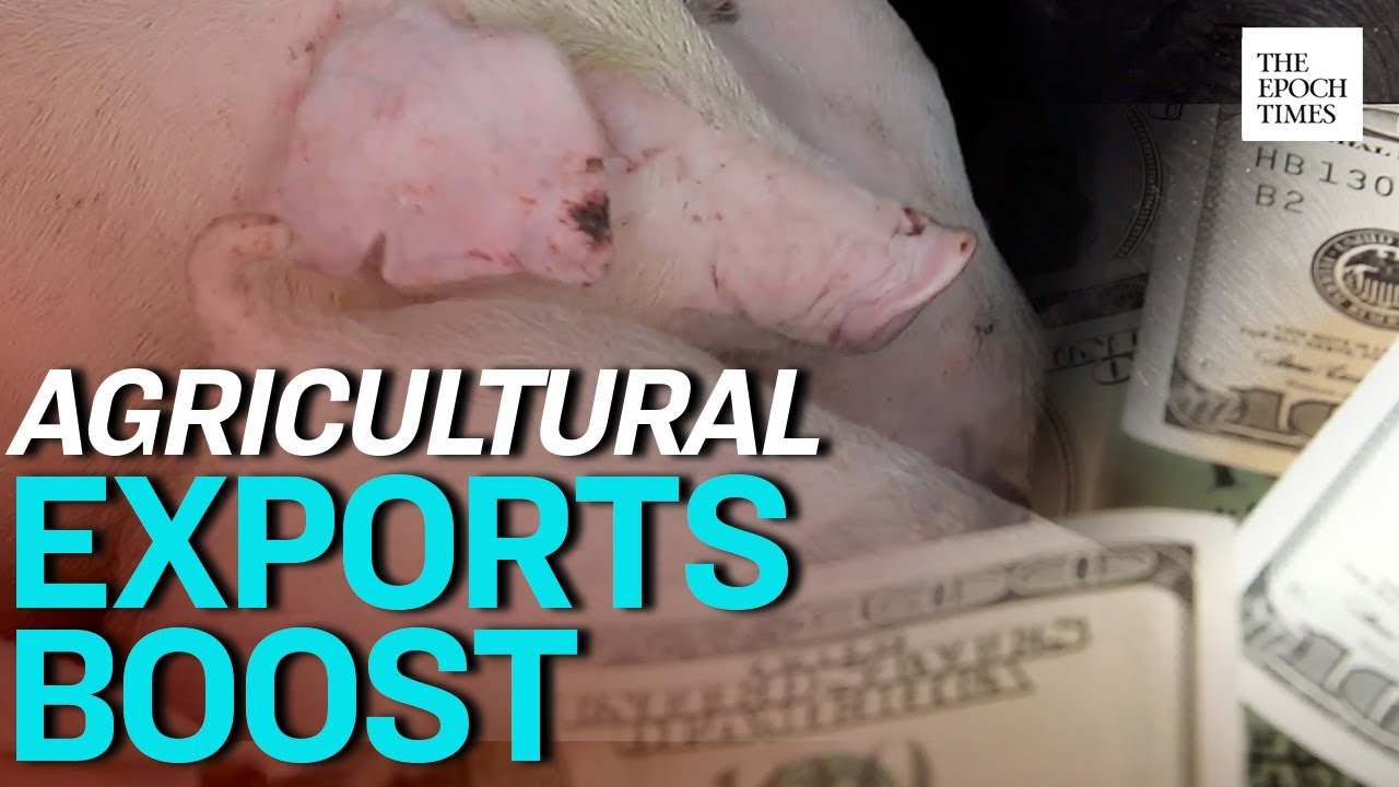 Floods in China Drive US Agricultural Exports | Epoch News
