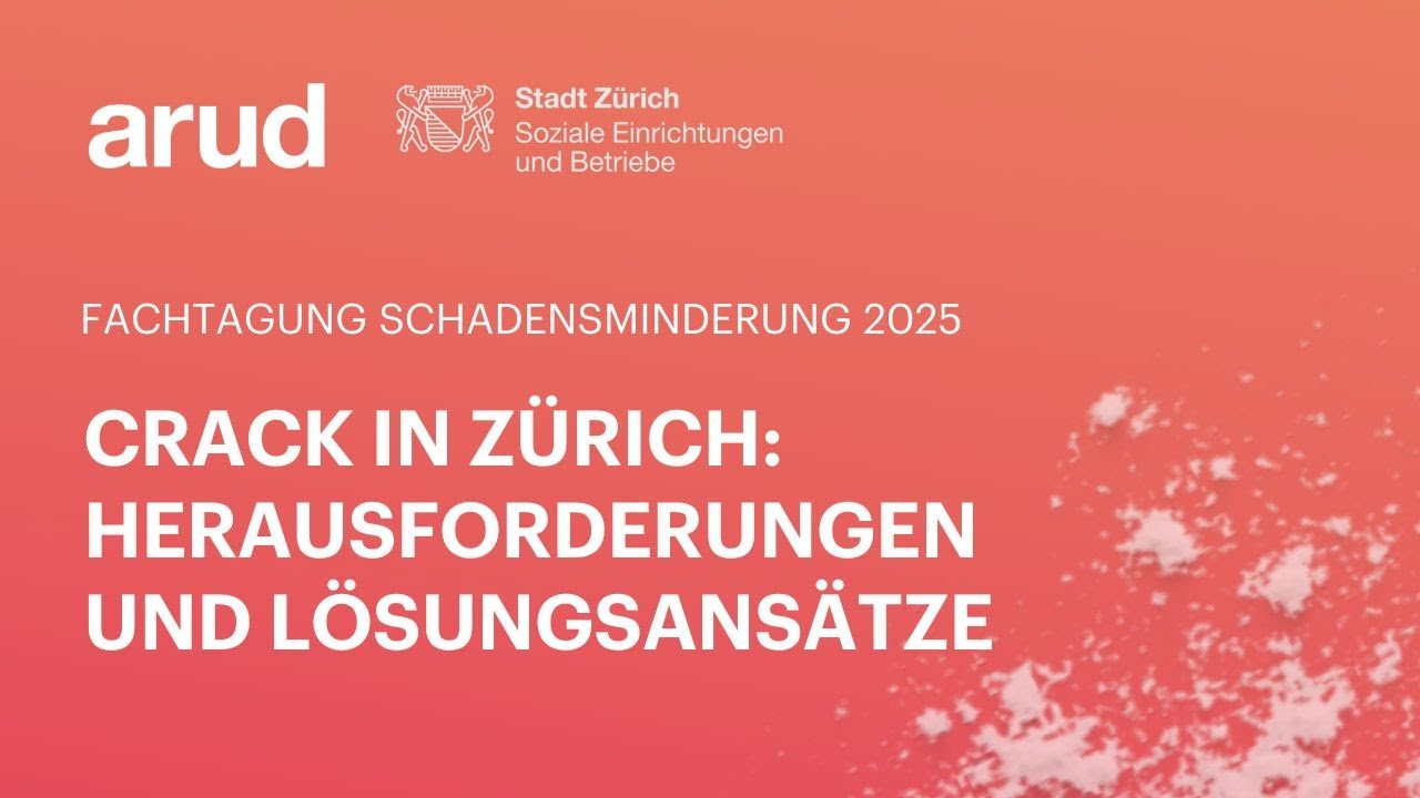 Crack in Z&uuml;rich: Herausforderungen und L&ouml;sungsans&auml;tze (Fachtagung Schadensminderung 2025)