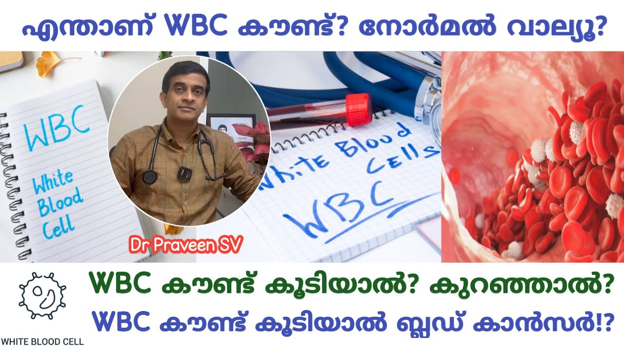 WBC count malayalam|WBC count koodiyal|WBC count kuranjal| Leukocyte count malayalam|Low WBC count