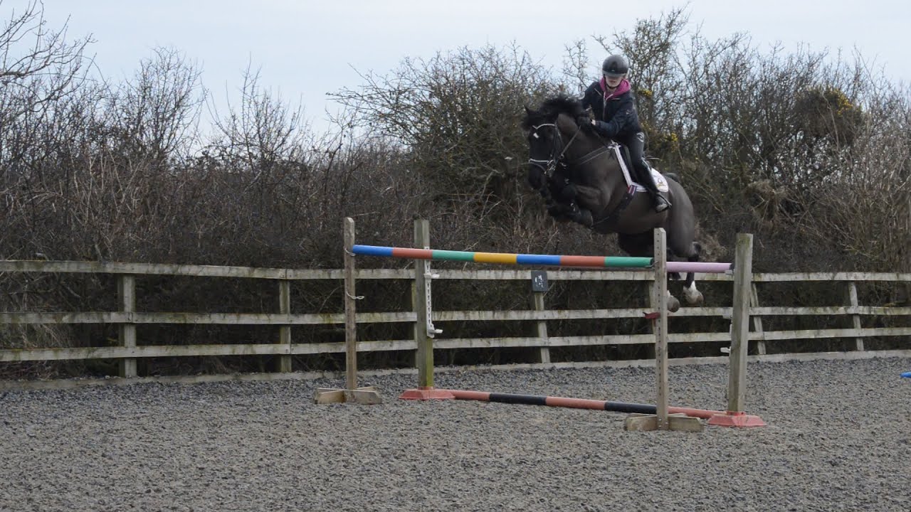 Only shooting stars [Horses Recently]