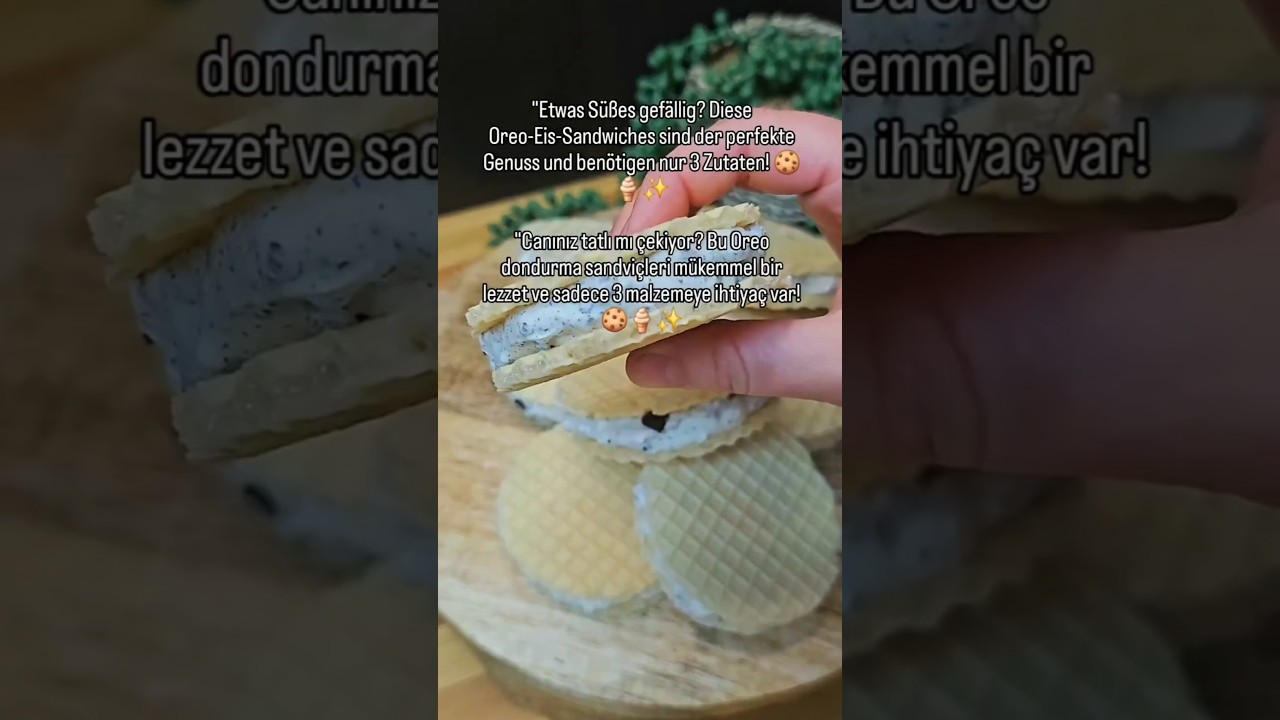 easy oreo Eis Sandwich in 5minuten fertig ! 