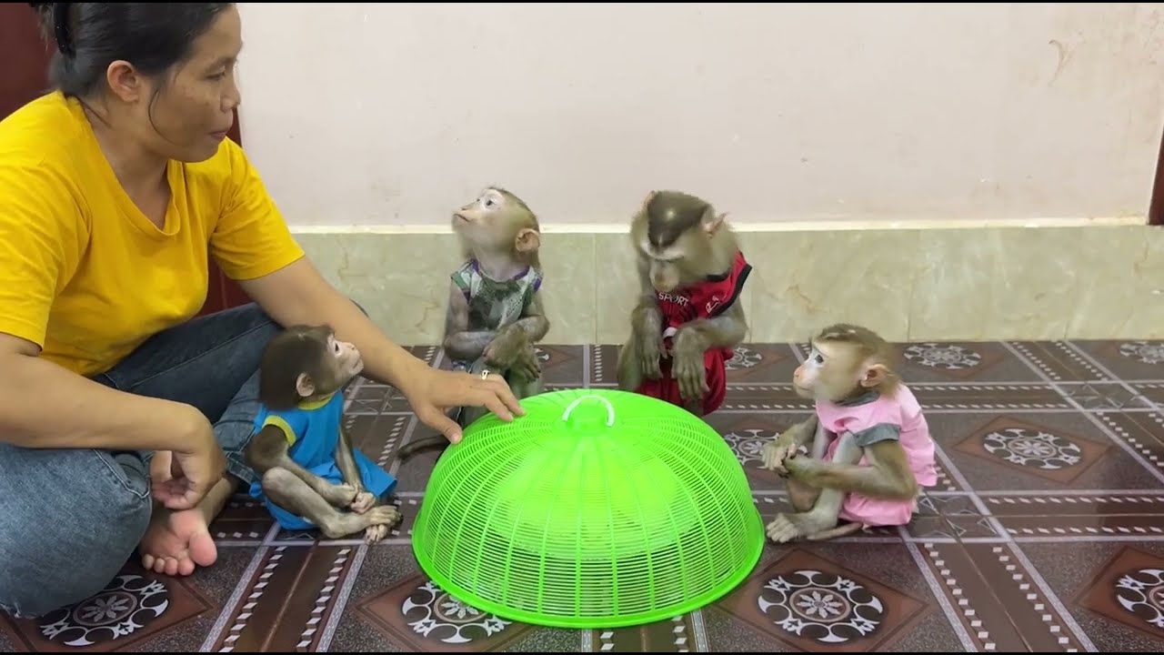 So cute ! Sovanny fast lip talking to mom she  want open basket what food in side ??