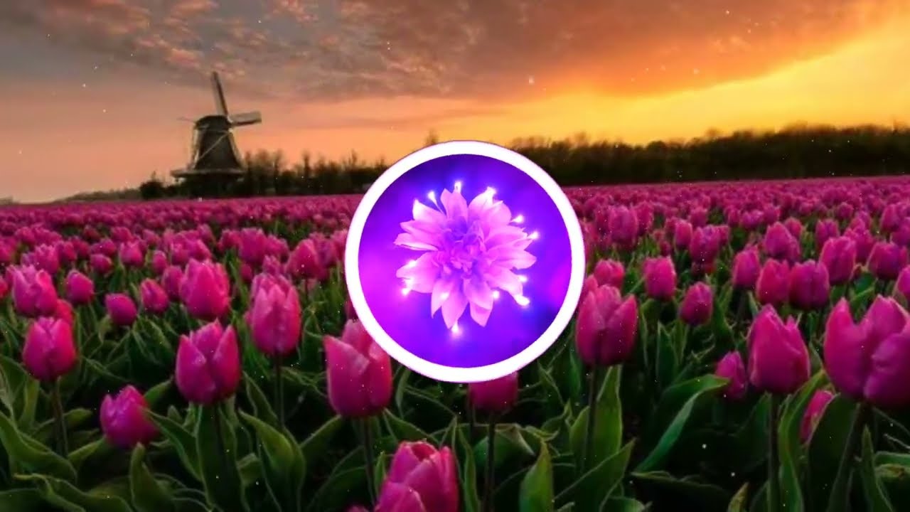 Pompeii - Hardstyle🔥🔥