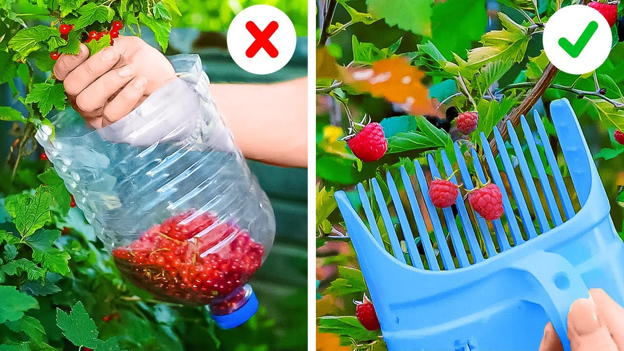 🌿🌼 ¡TRUCOS DE JARDINERÍA GENIALES QUE DEBES CONOCER! 🌸 Consejos Fáciles para Plantas 🪴