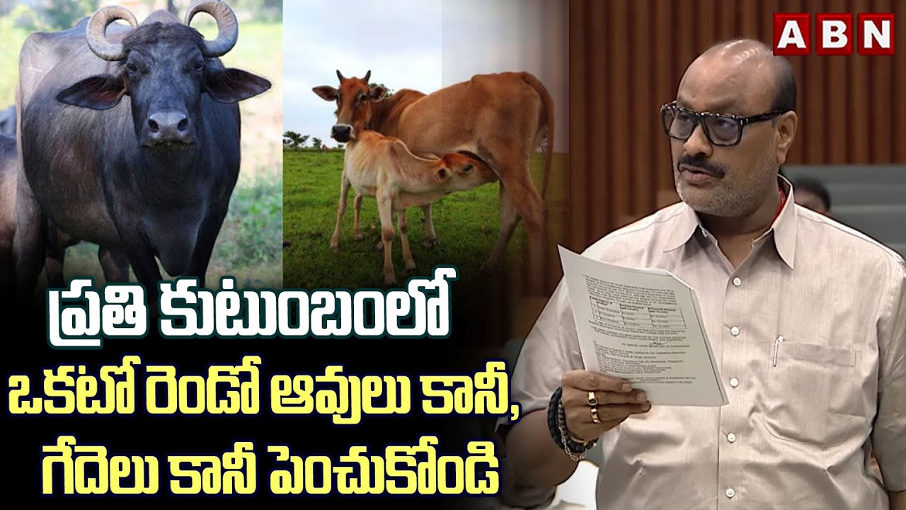 ప్రతి కుటుంబంలో ఒకటో రెండో ఆవులు కానీ, గేదెలు కానీ పెంచుకోండి | Minister Achannaidu | AP Assembly |