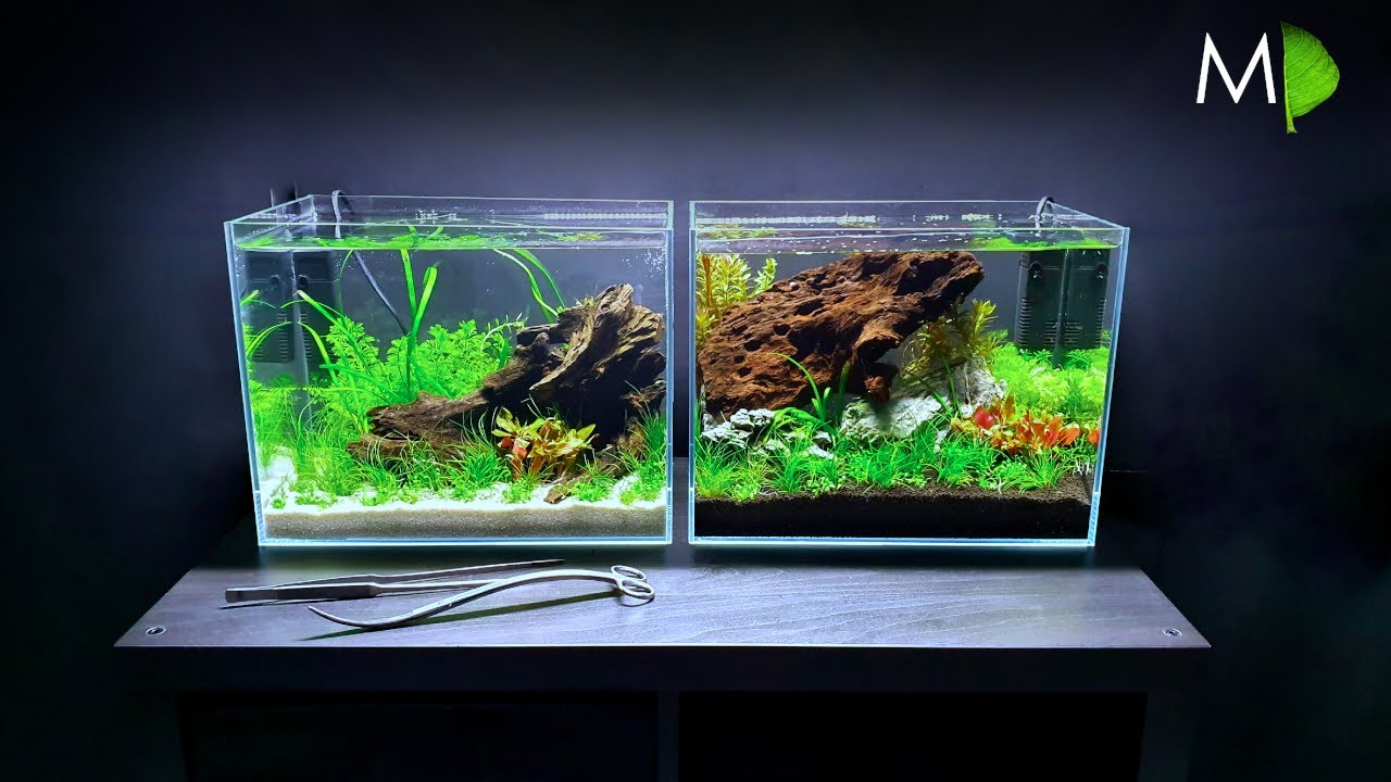 MAKING A PLANTED AQUARIUM USING AQUA SOIL || LOW TECH AQUARIUM || MD FISH TANKS