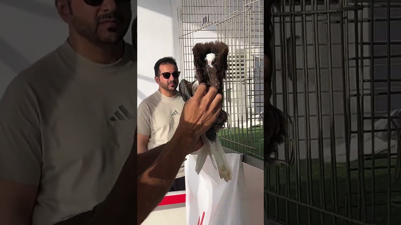 ٢ فبراير، ٢٠٢٦