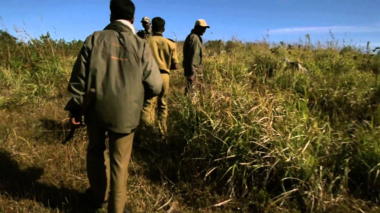 Technology to the Frontline of Tiger Conservation