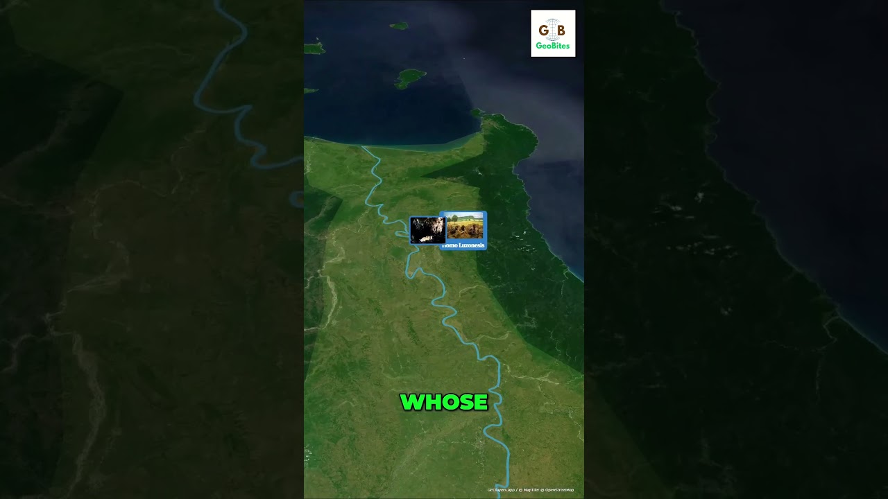 The Lost Potential of the Cagayan