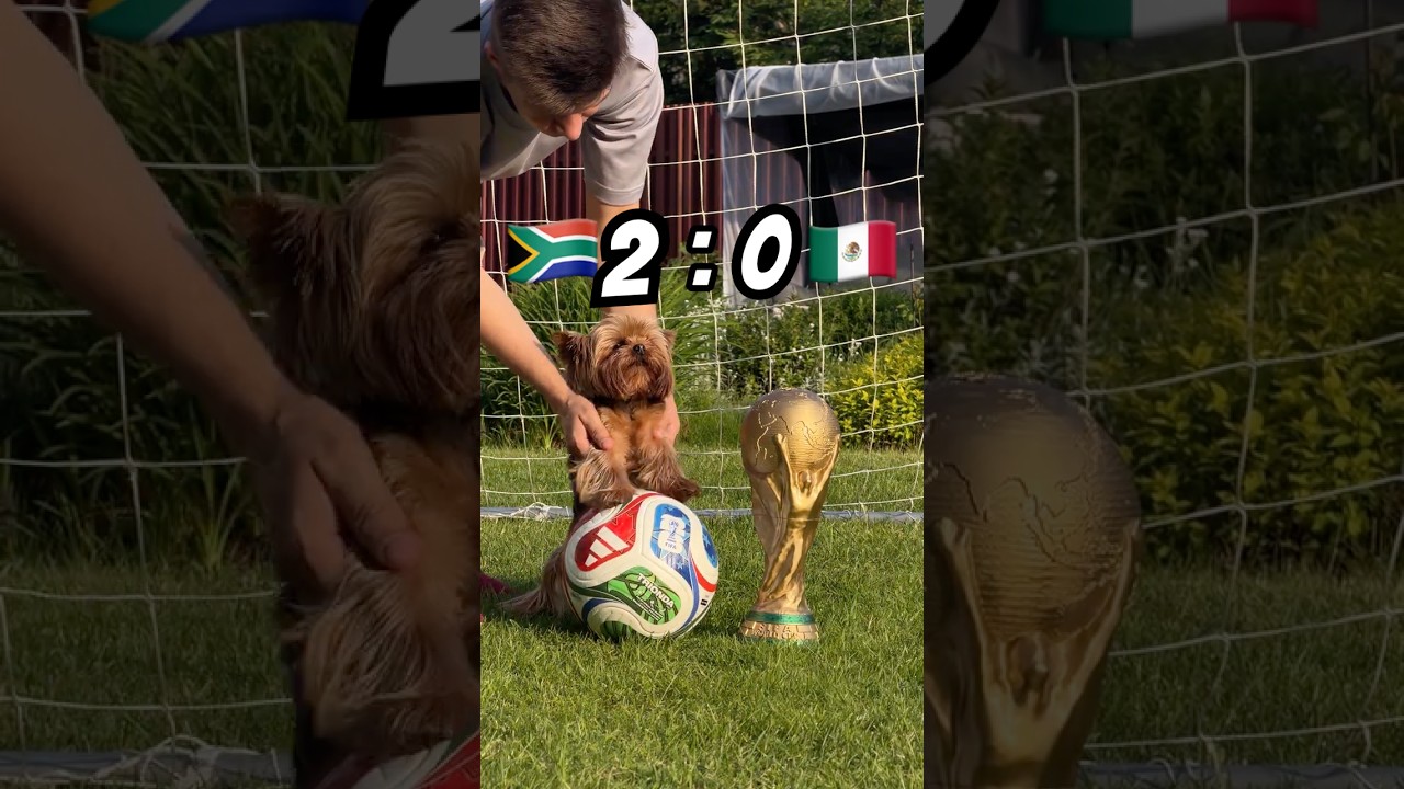 Match day 1:  Mexico vs South Africa Fifa World Cup USA   #football #soccer #футбол