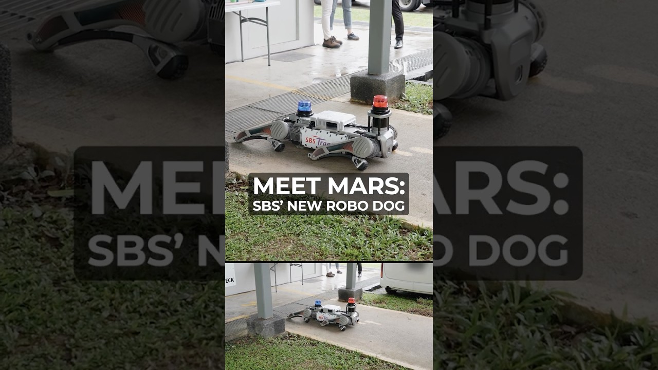 Meet Mars: The robotic dog patrolling Seletar Bus Depot