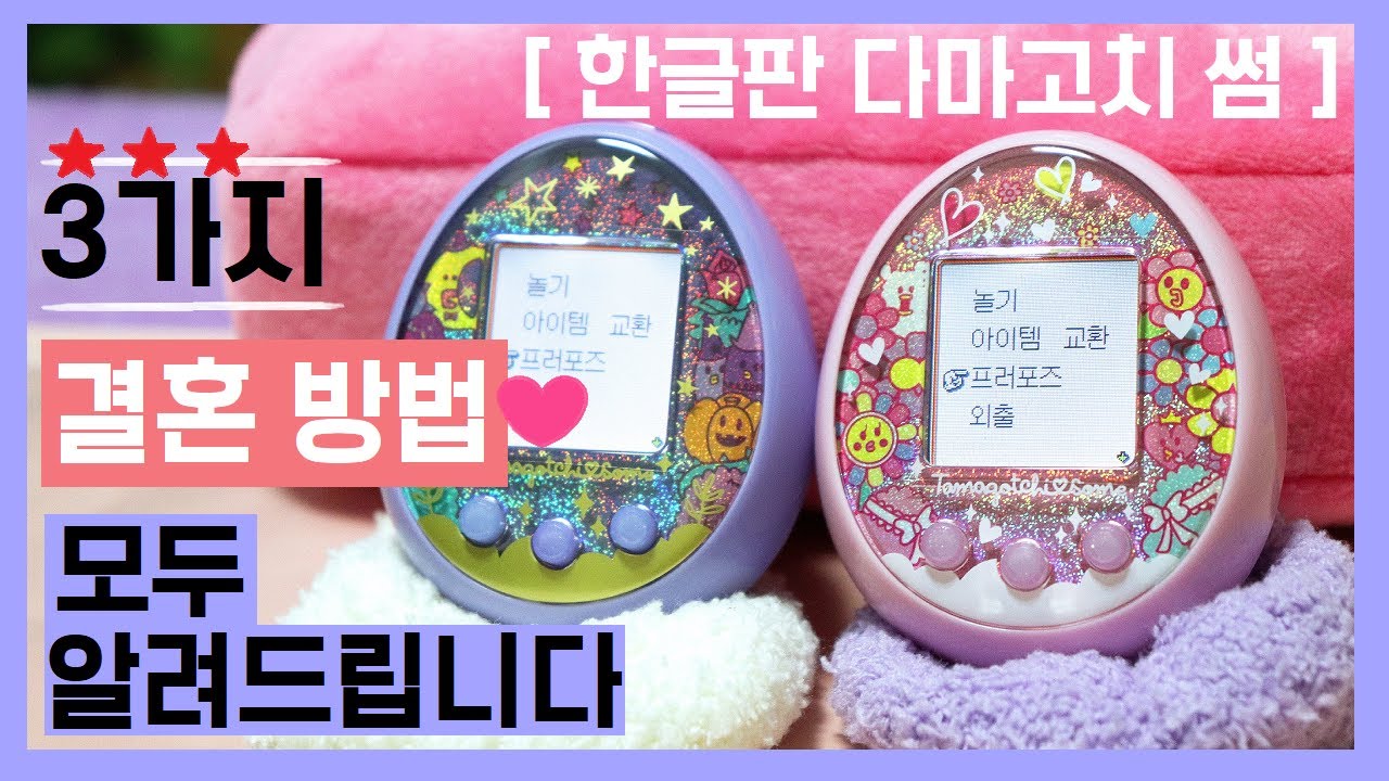 한글판 다마고치 썸 결혼하는 모든 방법 다마고치 썸 결혼시키기 다마고치 통신 결혼 tamagotchi some korean version wedding たまごっち