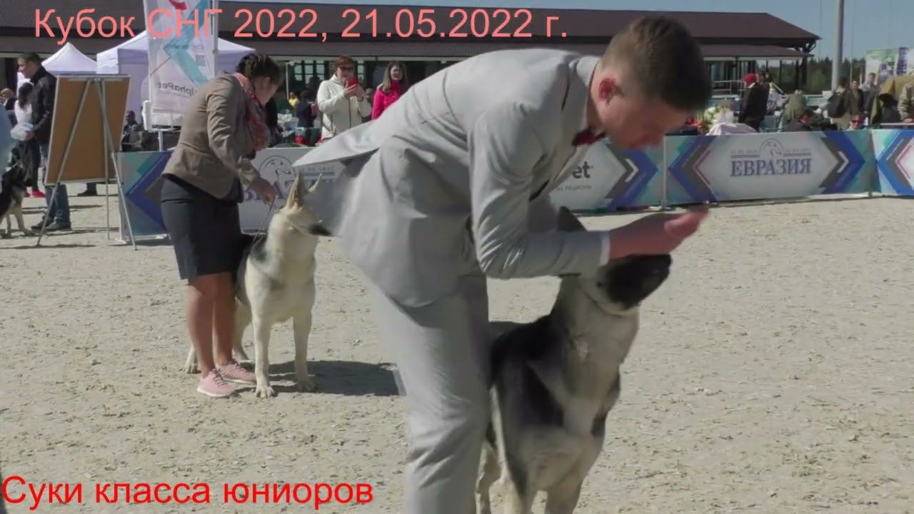 СЮ