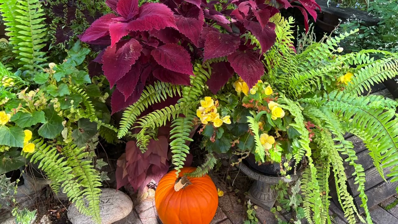 Pensacola Garden Fall 2025