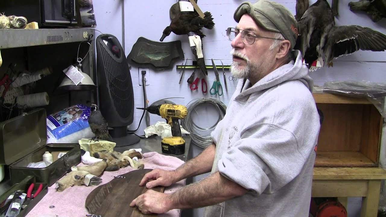 Testas Tuesday Tips Deer Foot Gun Rack Part 3
