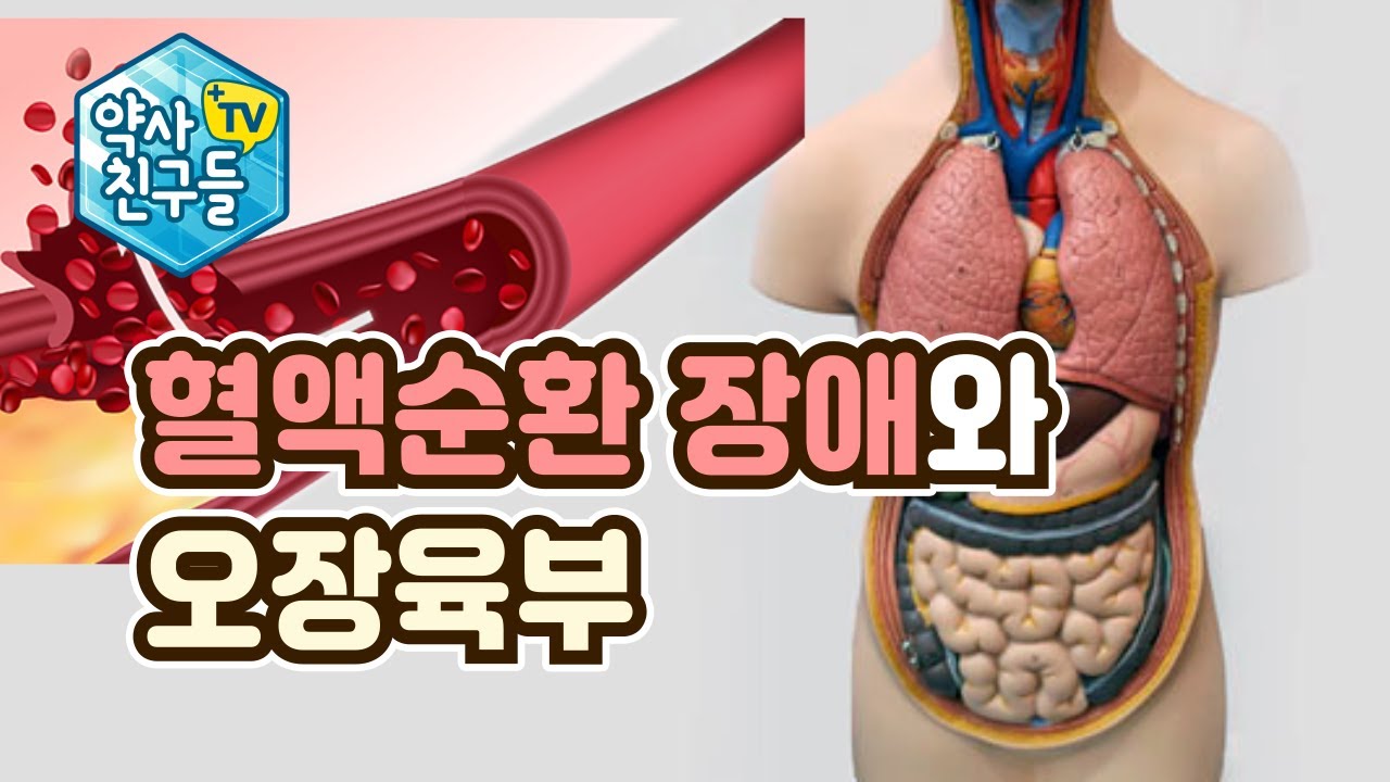 혈액순환 장애와 오장육부