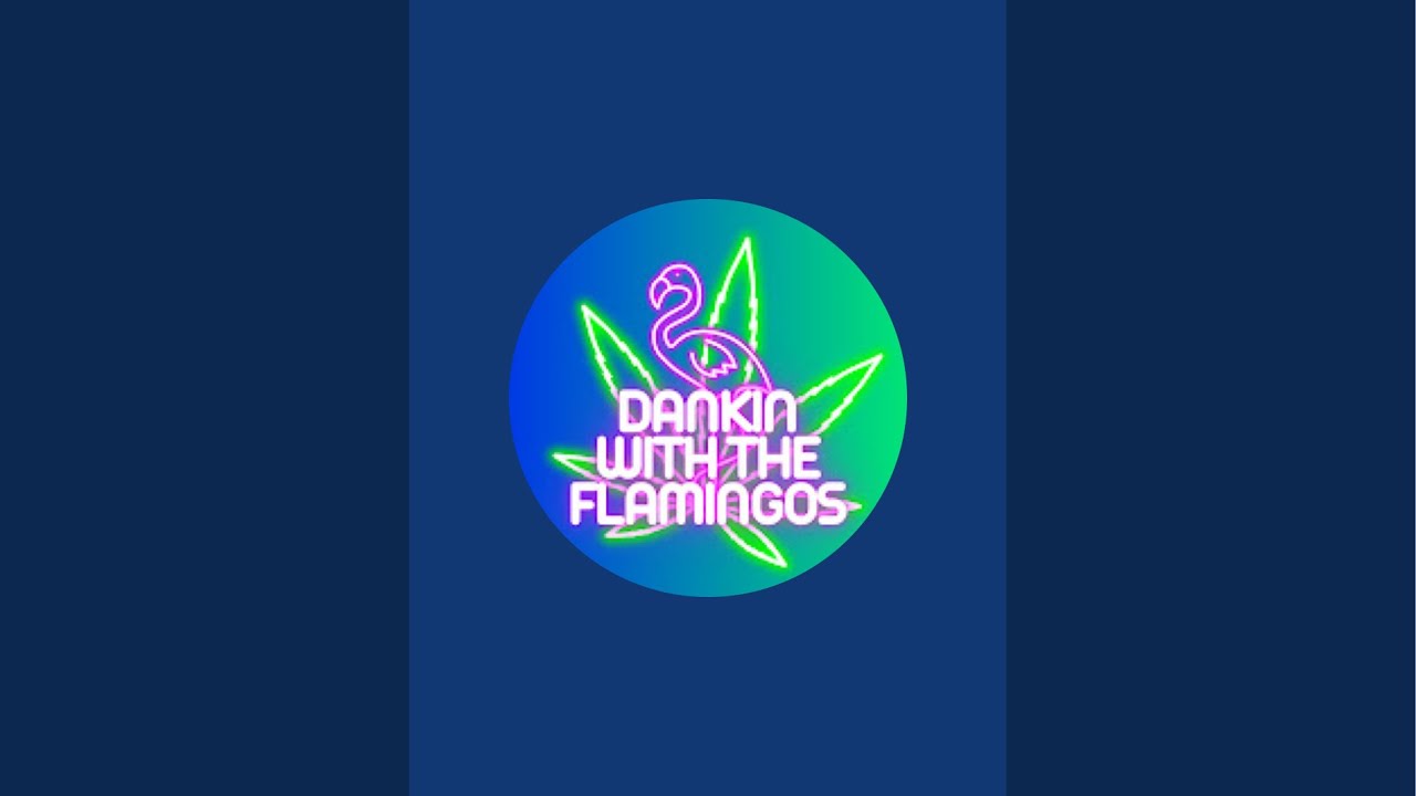 Happy Dankin-tines Day! Dankin With The Flamingos Live Review!!