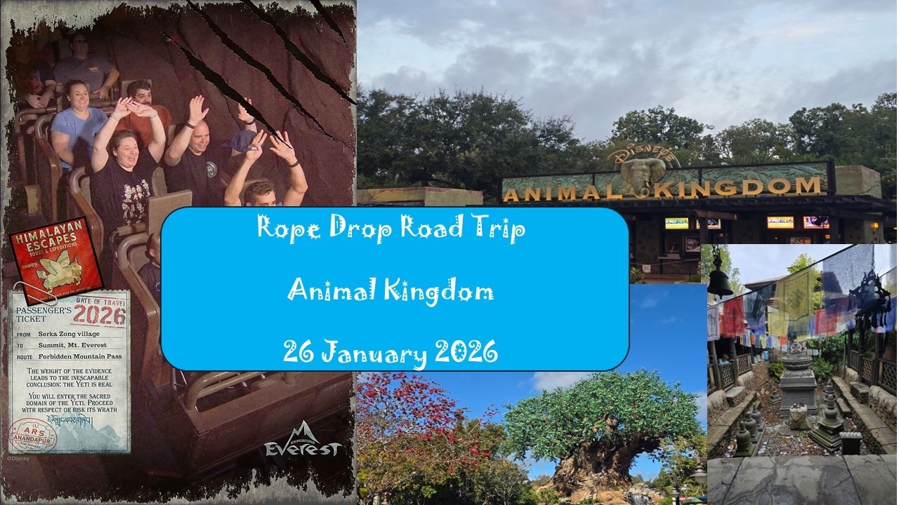 Animal Kingdom - Jan 26