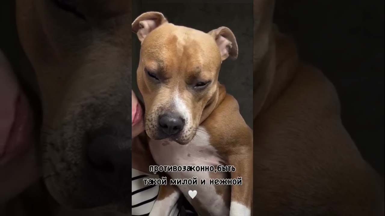 милая девочка 🤍🤍🤍 