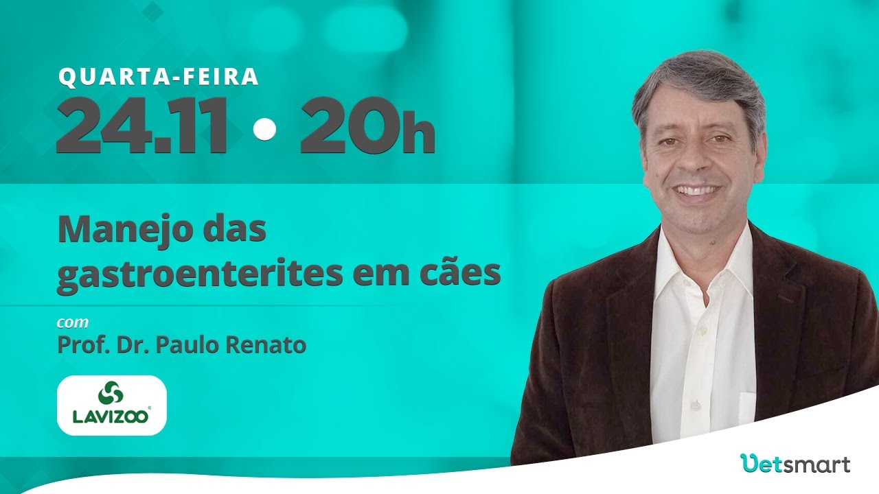 Manejo das gastroenterites em cães