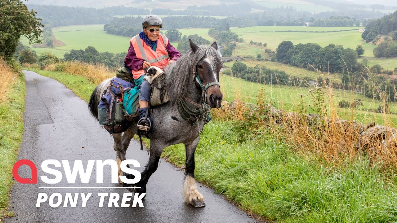80-year-old woman completes annual 600-mile trek with her pony and dog | SWNS