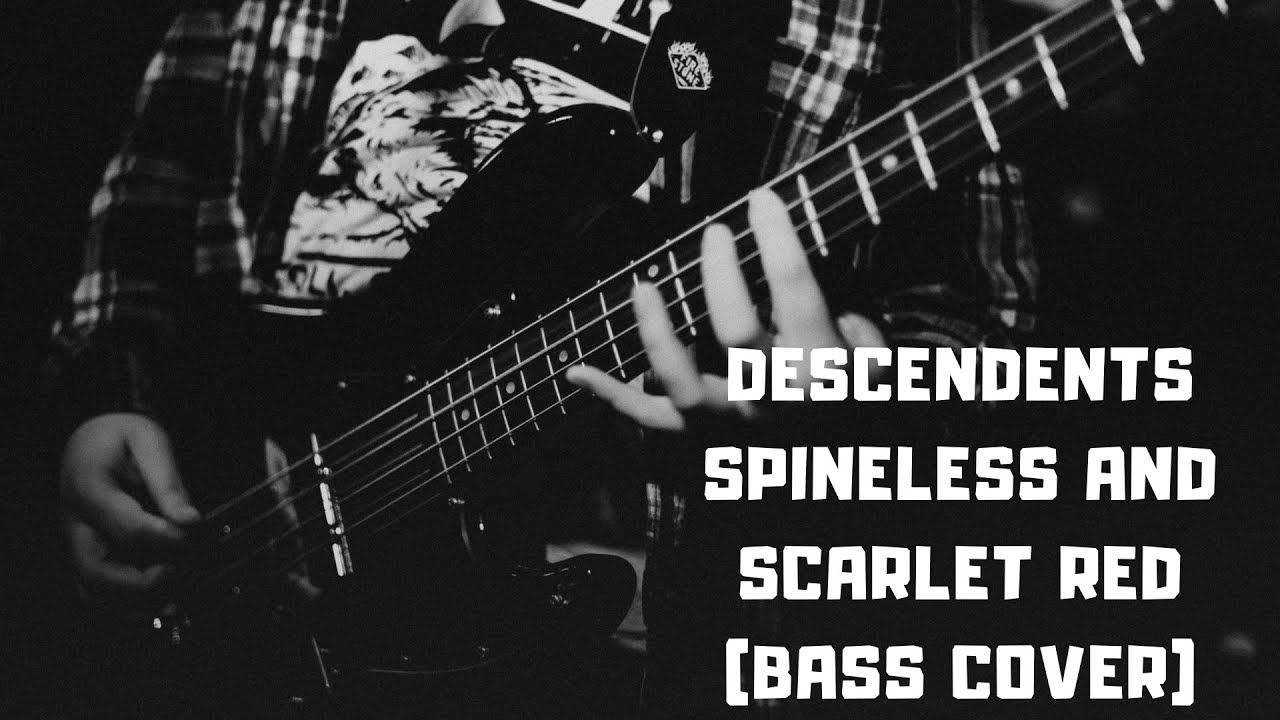 Descendents - Spineless And Scarlet Red (Bass Cover)