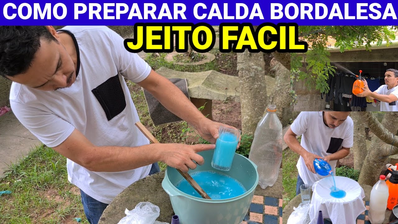 COMO PREPARAR CALDA BORDALESA COM O PH CORRETO! ASIM FICOU FACIL.