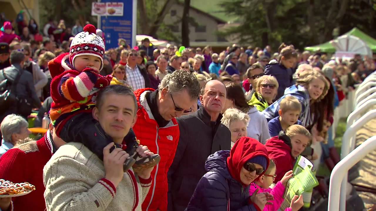 Life - Rai Südtirol - Haflinger Galopprennen Meran 2015