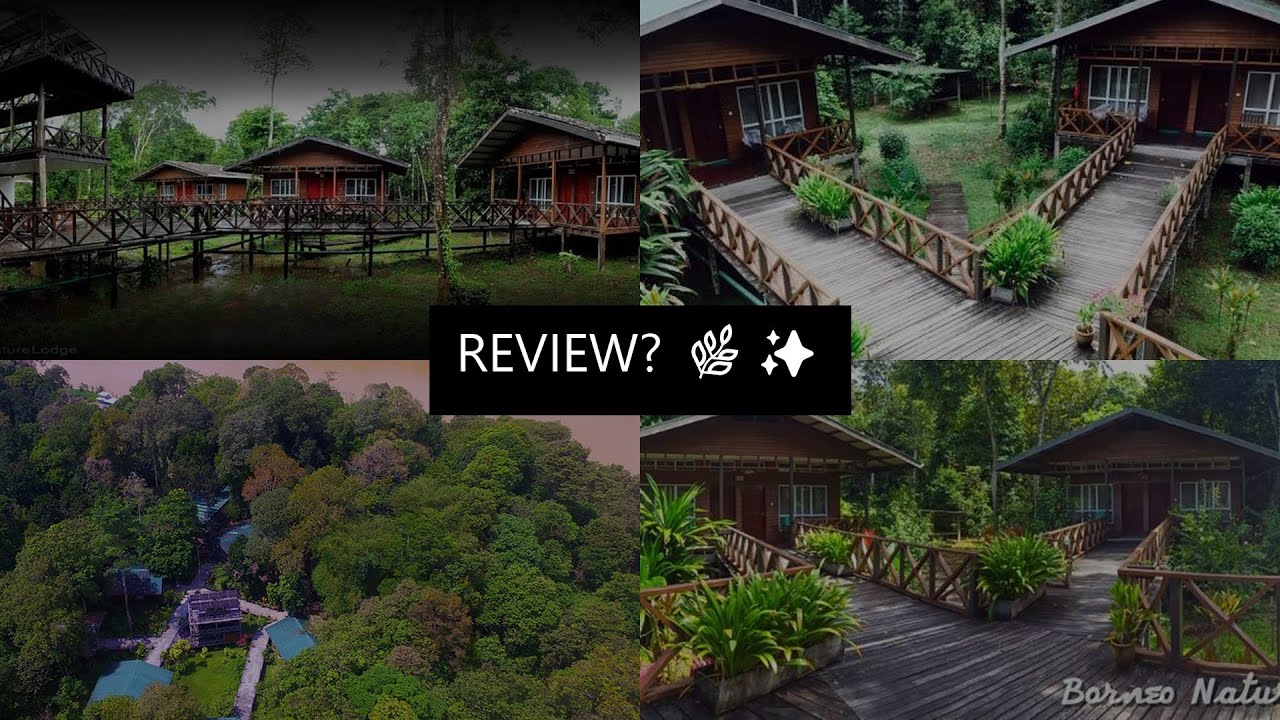 borneo nature lodge