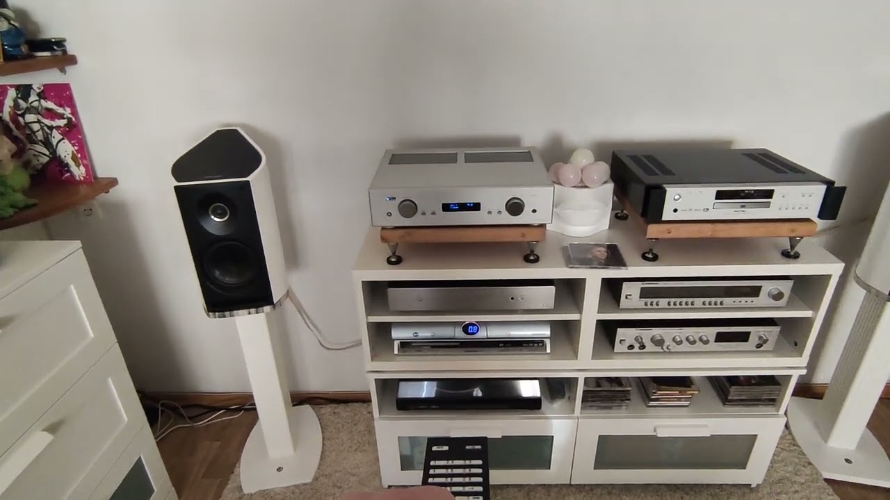 Тестовый ролик для Авито  AVM evolution A2+ Primare np 30 + Sonus Faber Venera.