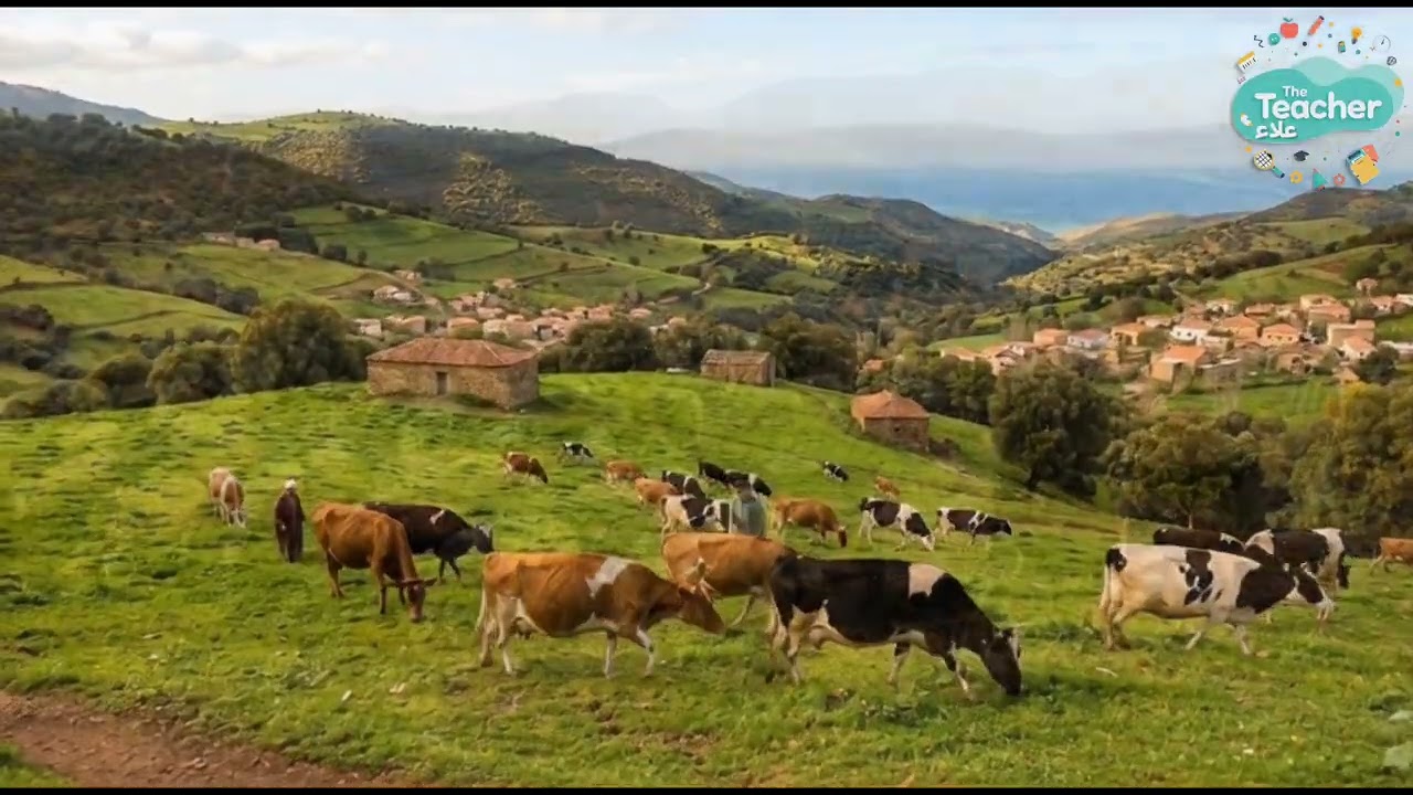 خصائص المجال الفلاحي بالمغرب العربي 