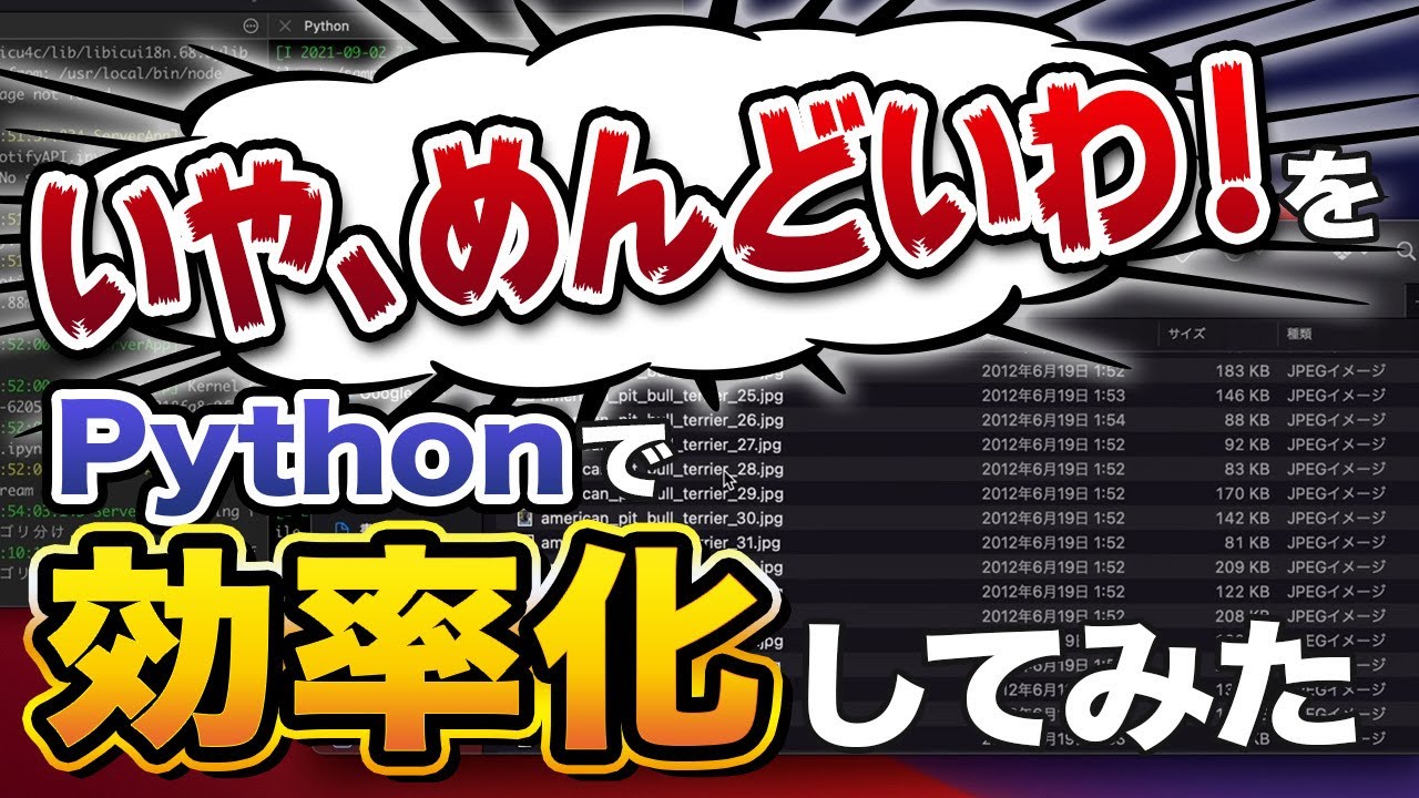【実演】めんどい作業をプログラミング（Python）で効率化する過程をお見せします