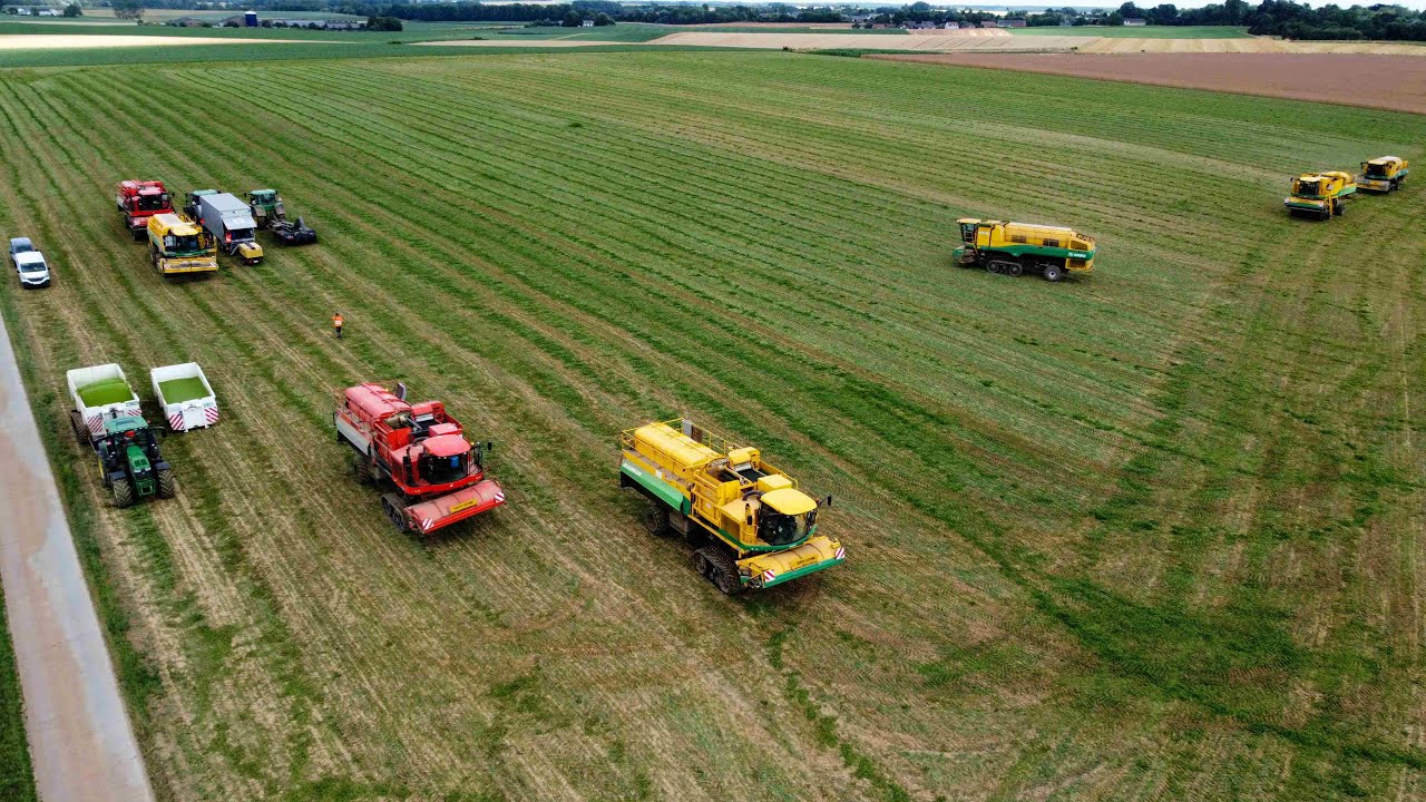 Récolte des pois avec 7 machines