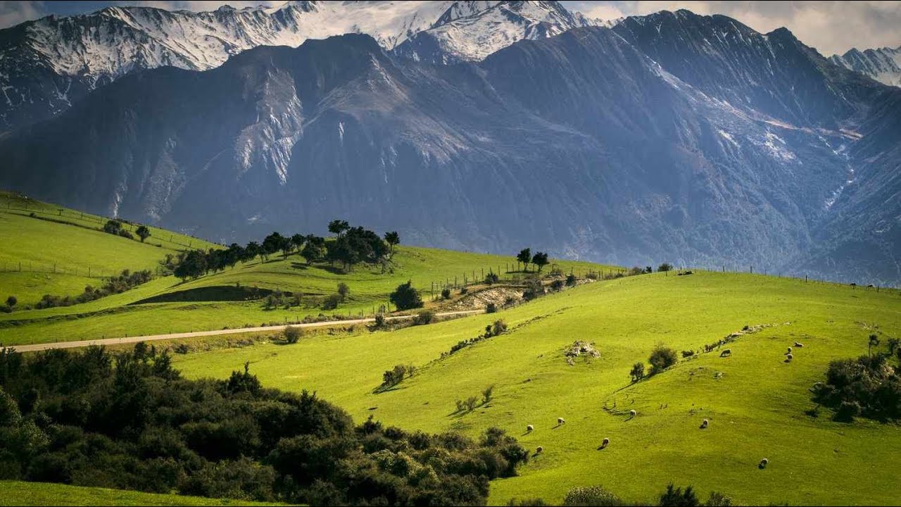 Christchurch To Dunedin Trip South Island New Zealand 4K Video
