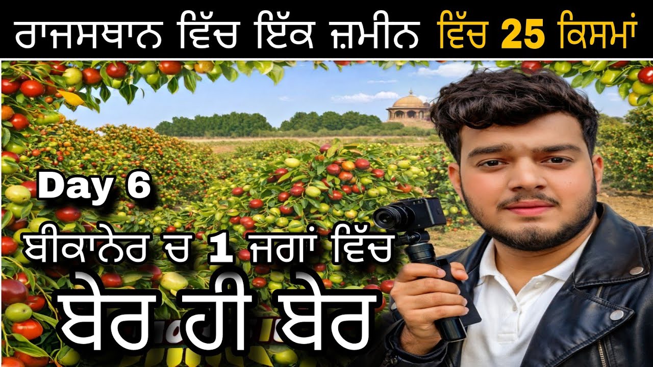 ਬਿਕਾਨੇਰ ‘ਚ ਬੇਰਾਂ ਦਾ ਜੰਨਤ ਵਰਗਾ ਫਾਰਮ 😍 | 25 ਕਿਸਮਾਂ ਦੀ ਫਰੈਮਿੰਗ | Desi Vlog #vlog #viral 