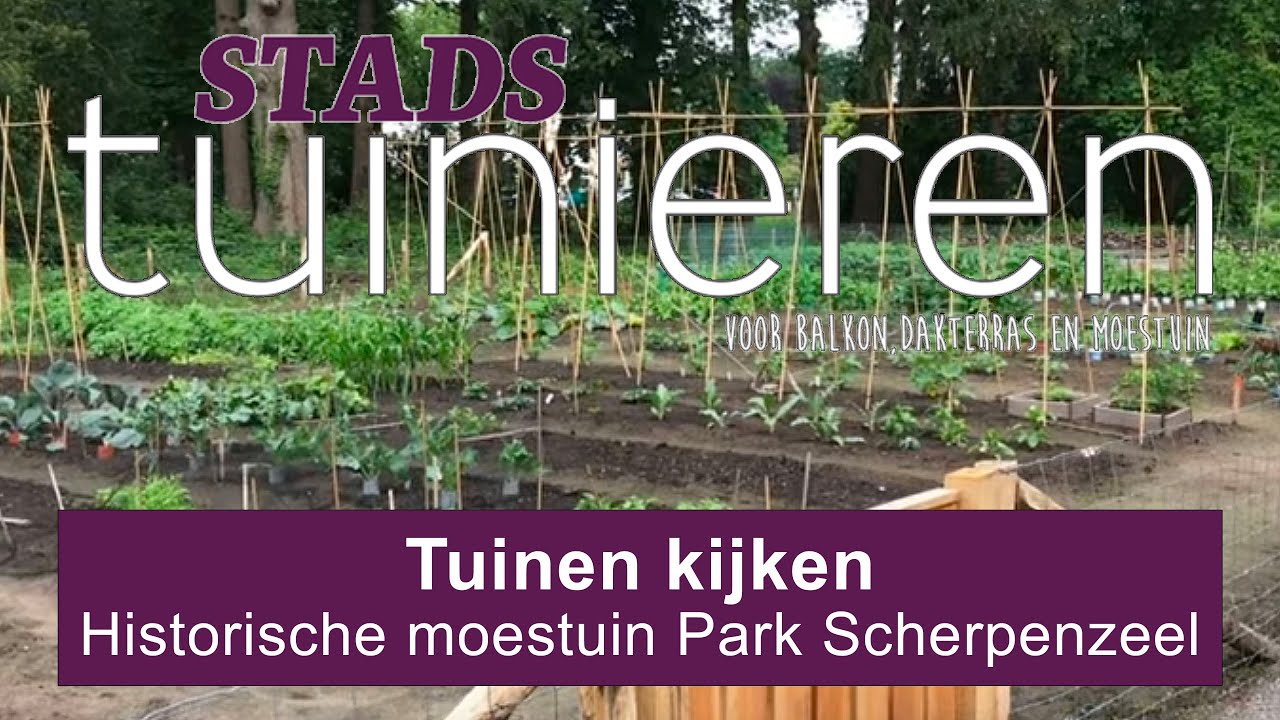 Stadstuinieren - Tuinen kijken -  Historische moestuin Park Scherpenzeel #moestuin