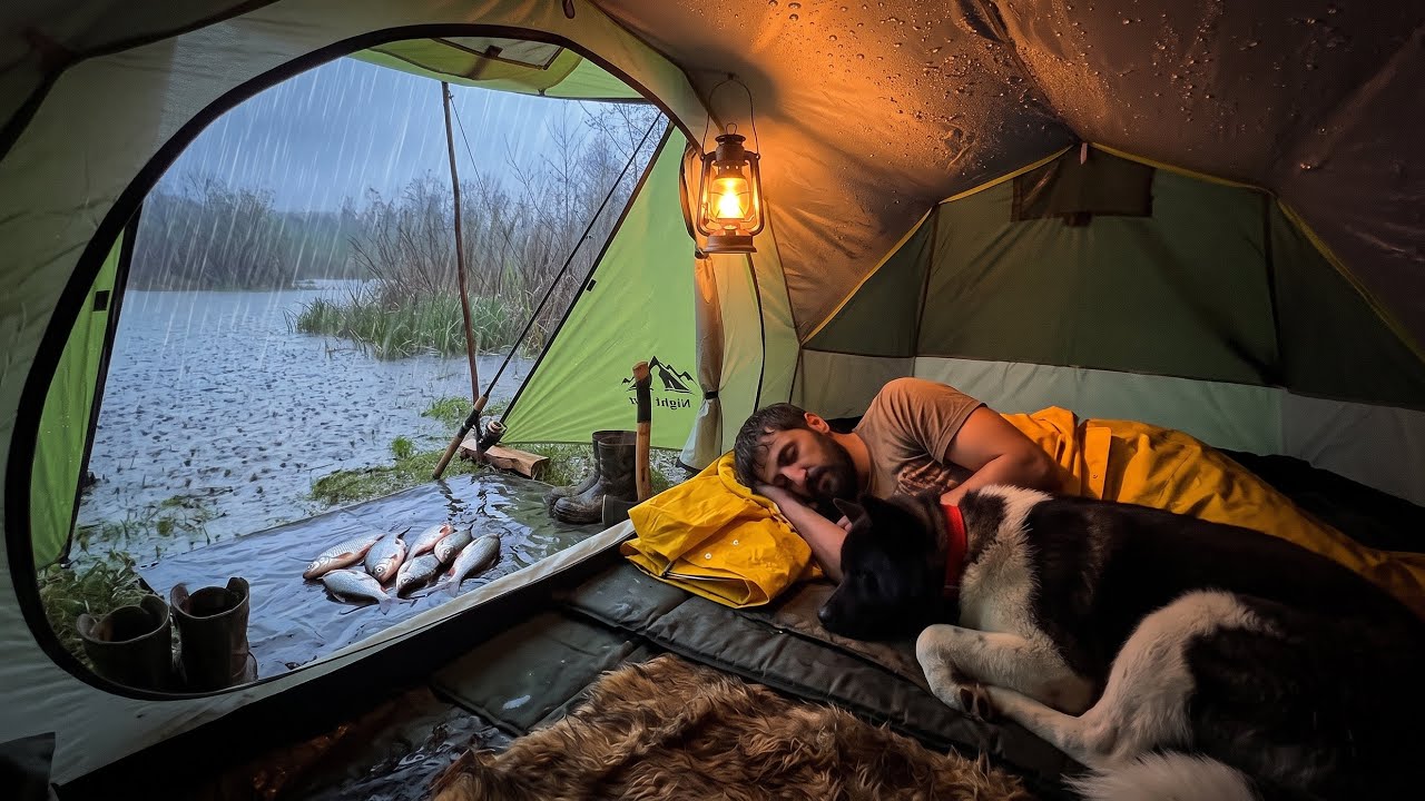 3 Days Solo Camping in Heavy Rain with My Dog. Fishing - Bushcraft Survival Skills