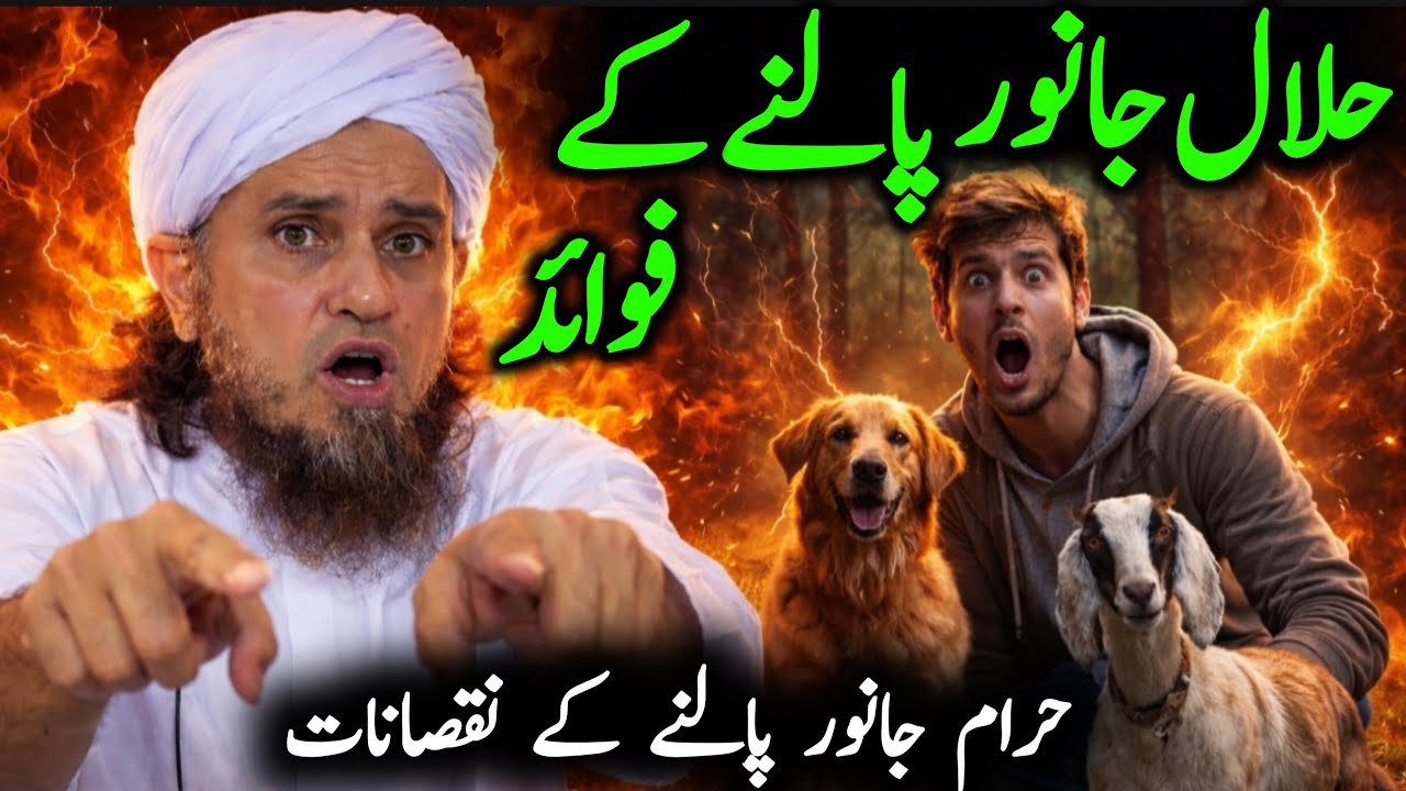 Halal Animals Benefits | Mufti Tariq Masood | Noor-e-Imaan Talks