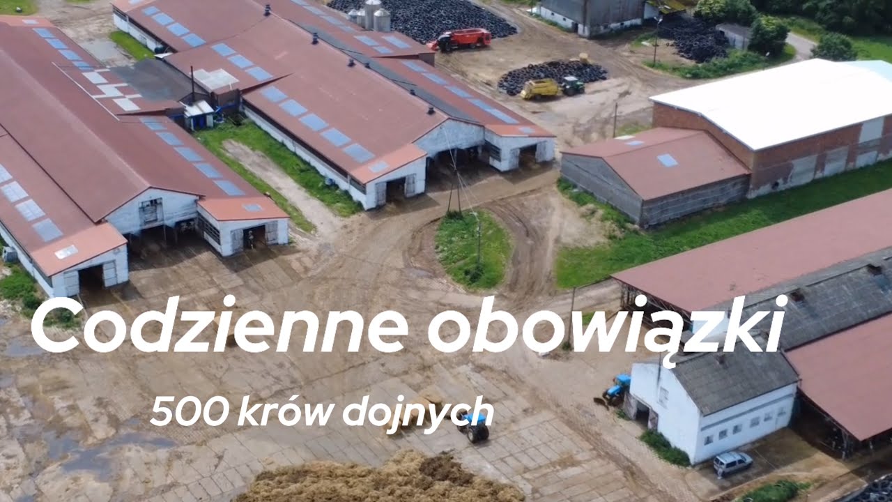 🇵🇱500 KRÓW DOJNYCH?! Codzienne obowiązki w firmie CERPLON CEREKWICA!㋡