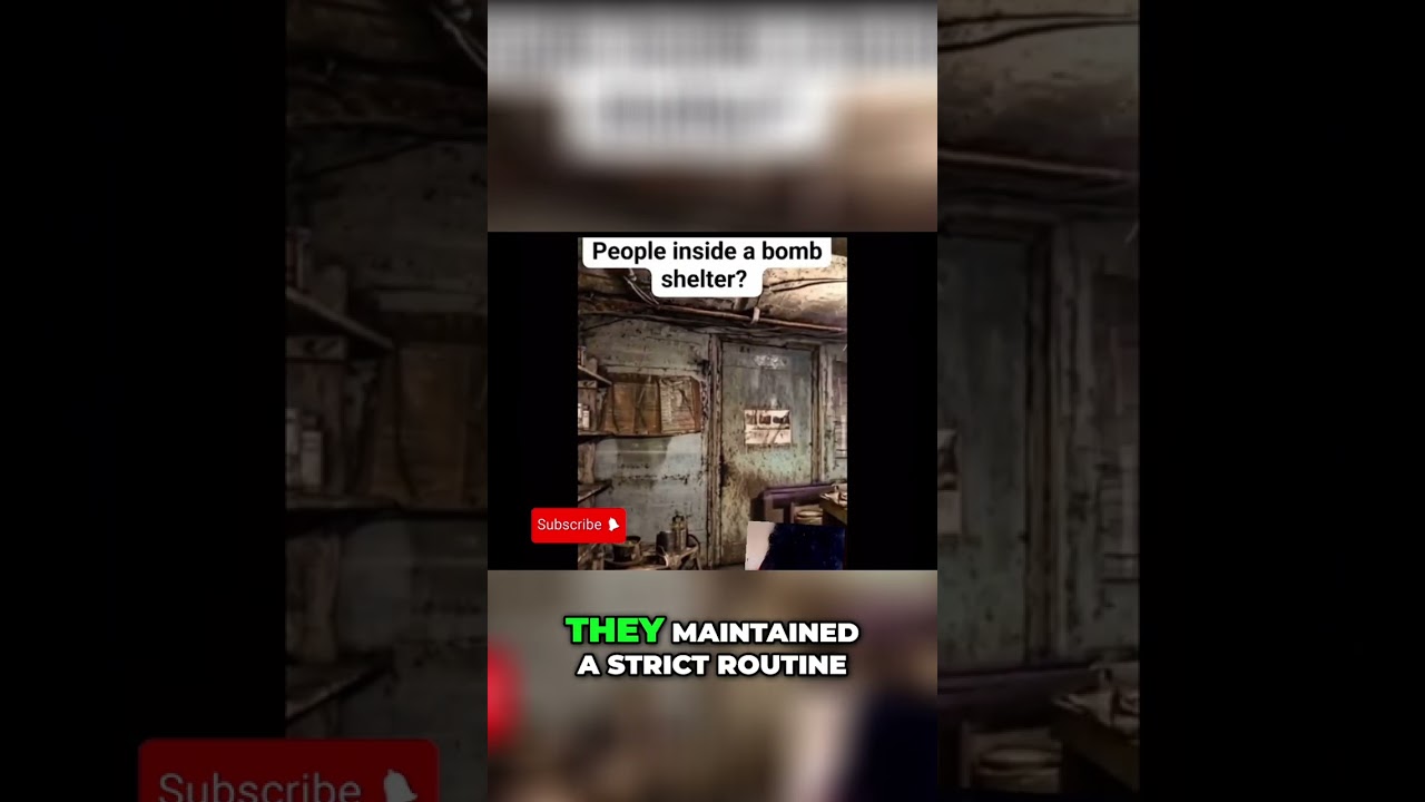 Pool Uncovers Hidden Bomb Shelter: Family Emerges!